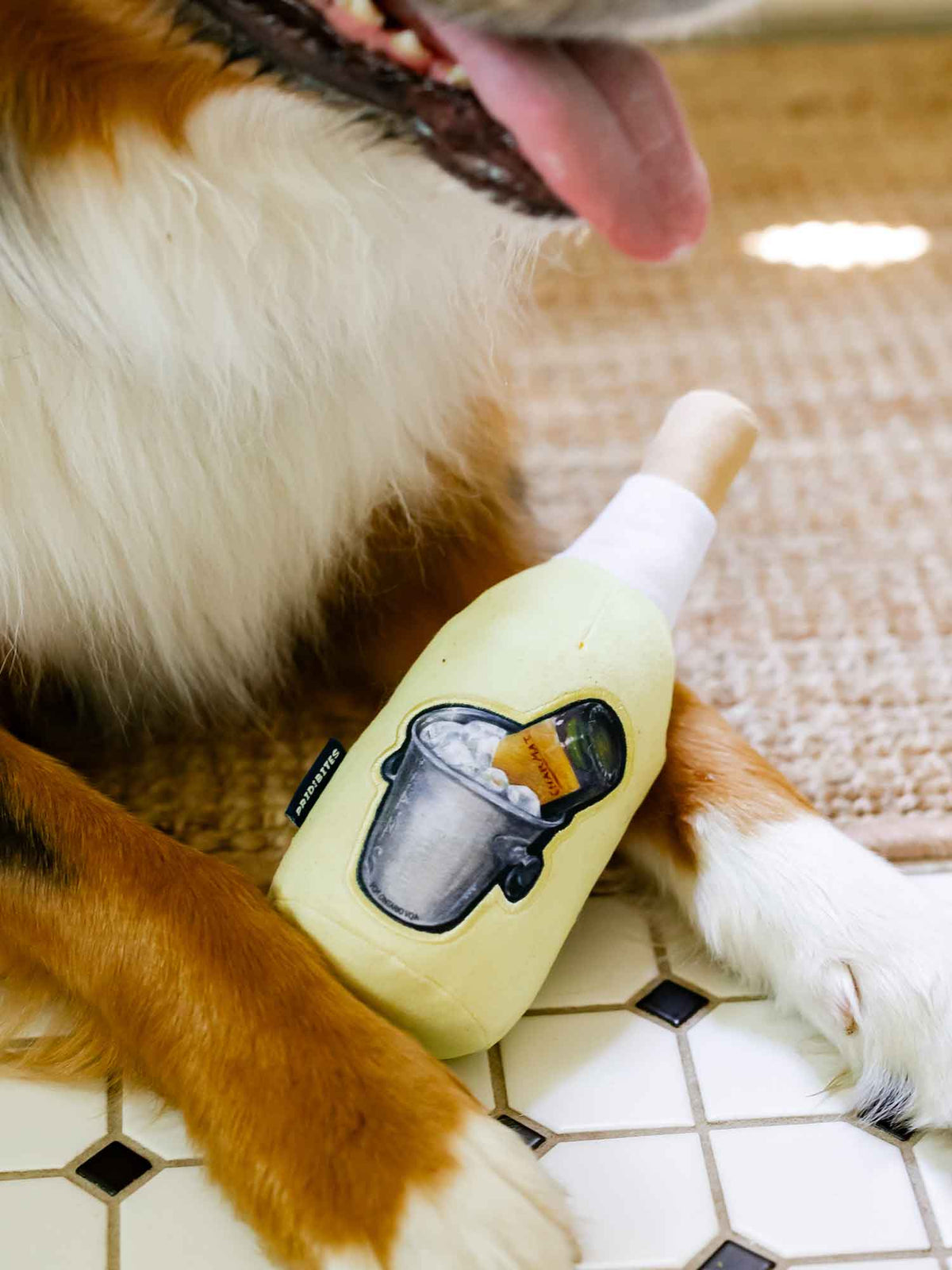 Charmat Plush Dog Toy
