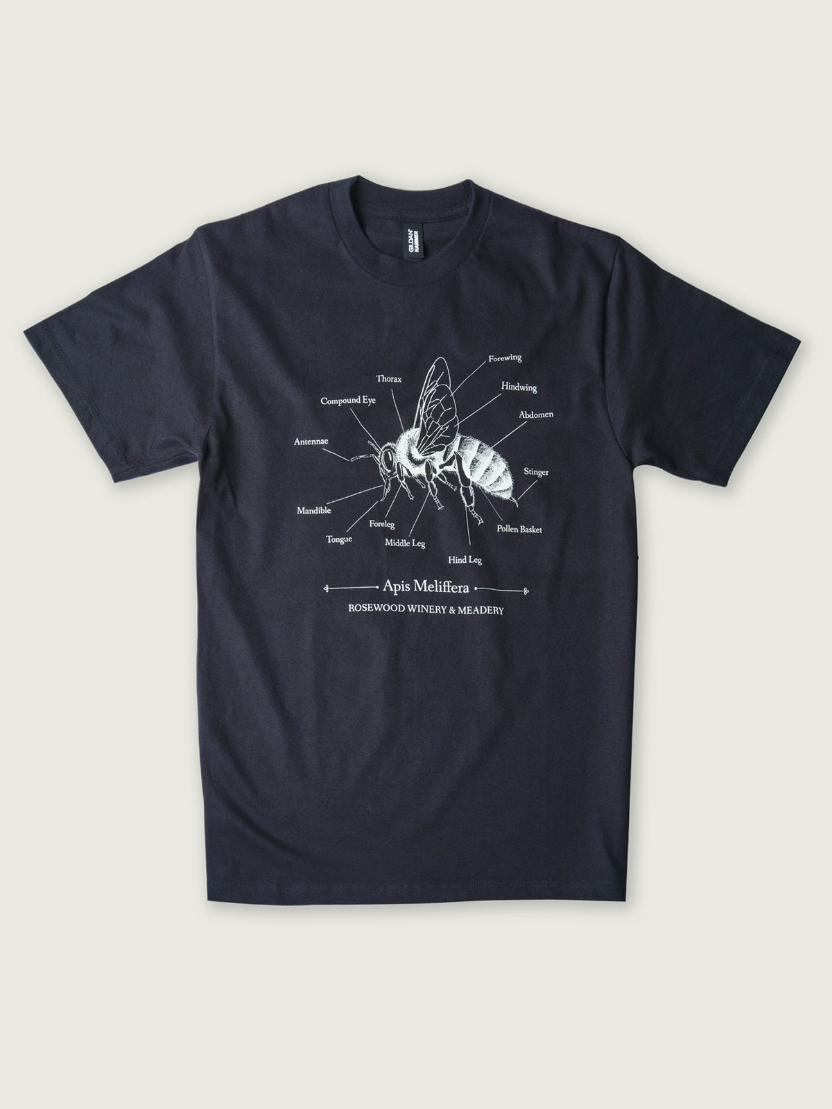 Black Bee Illustration Tee Shirt