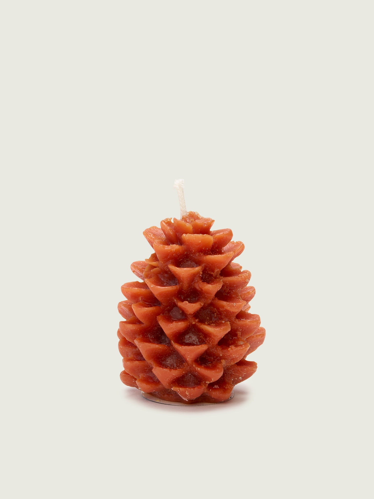 Pine Cones